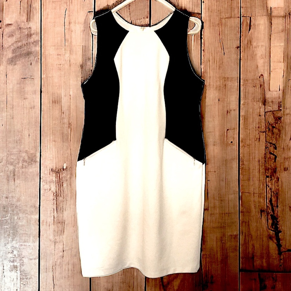 Dr Collection shift dress NWOT
